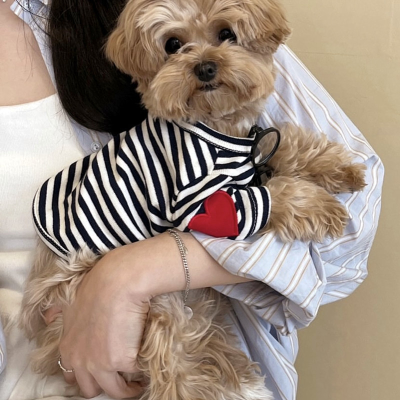 Sleeveless Undershirt - Maglietta Estiva Rinfrescante per Cani di