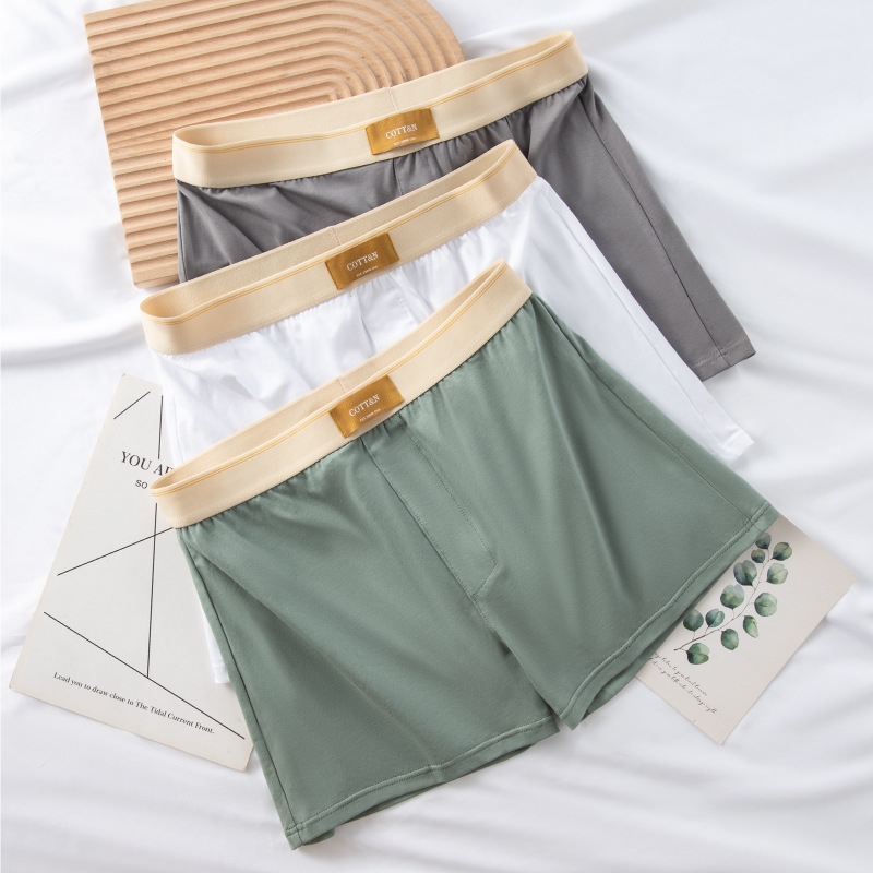4 pezzi pantaloni freccia masc - Boxer Brief Pack Cotton recensione e prezzo